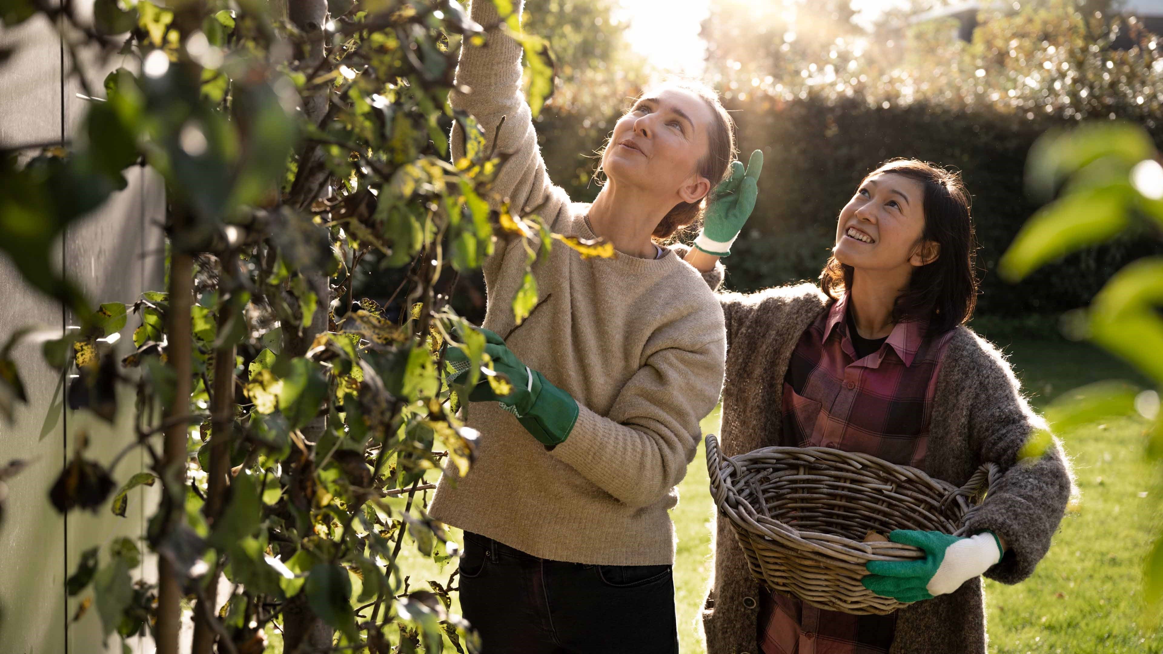 Zwei Frauen arbeiten gemeinsam im Garten