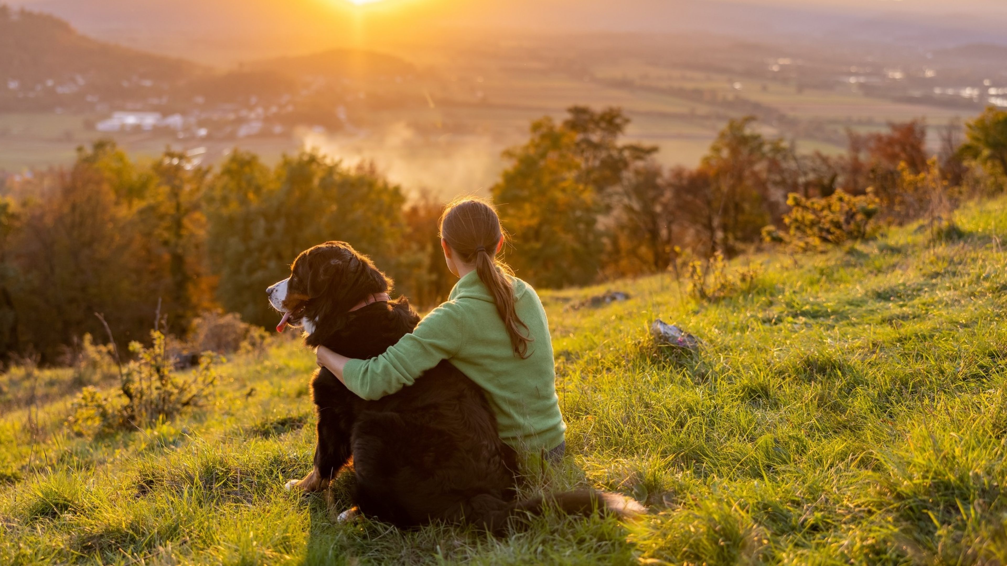 Rear view of female tourist with Bernese Mountain Dog enjoying idyllic view of landscape while sitting on grassy mountain during sunset