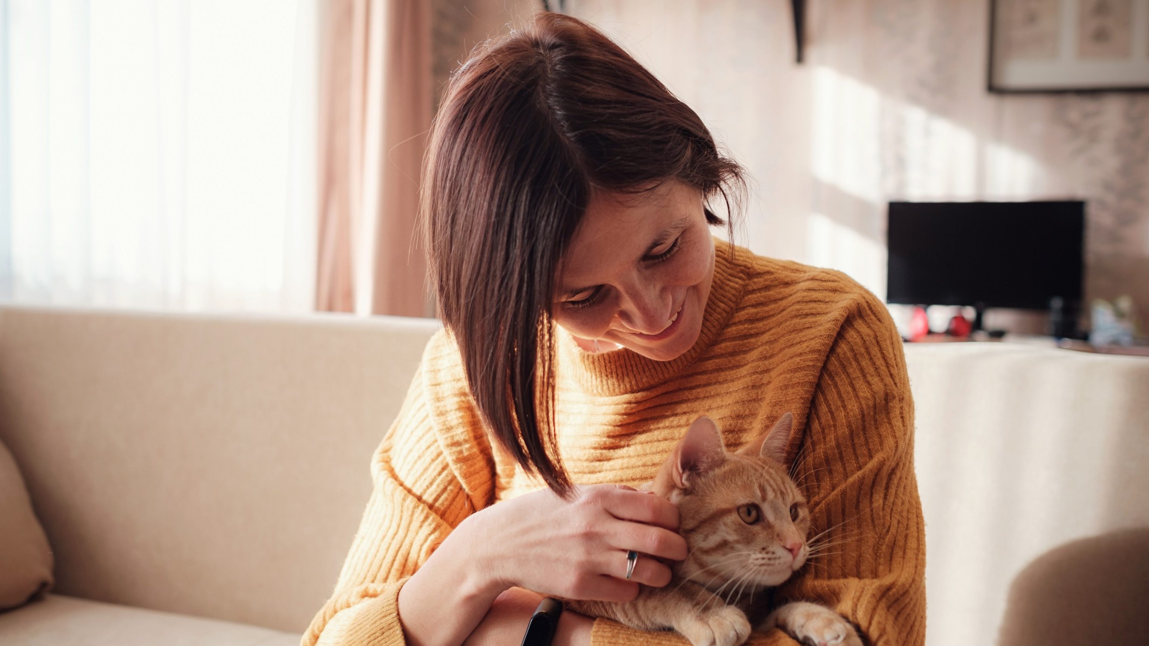 Young asian woman resting with pet in sofa at home in sunny. Beautiful ginger tabby cat. Animals and lifestyle concept.