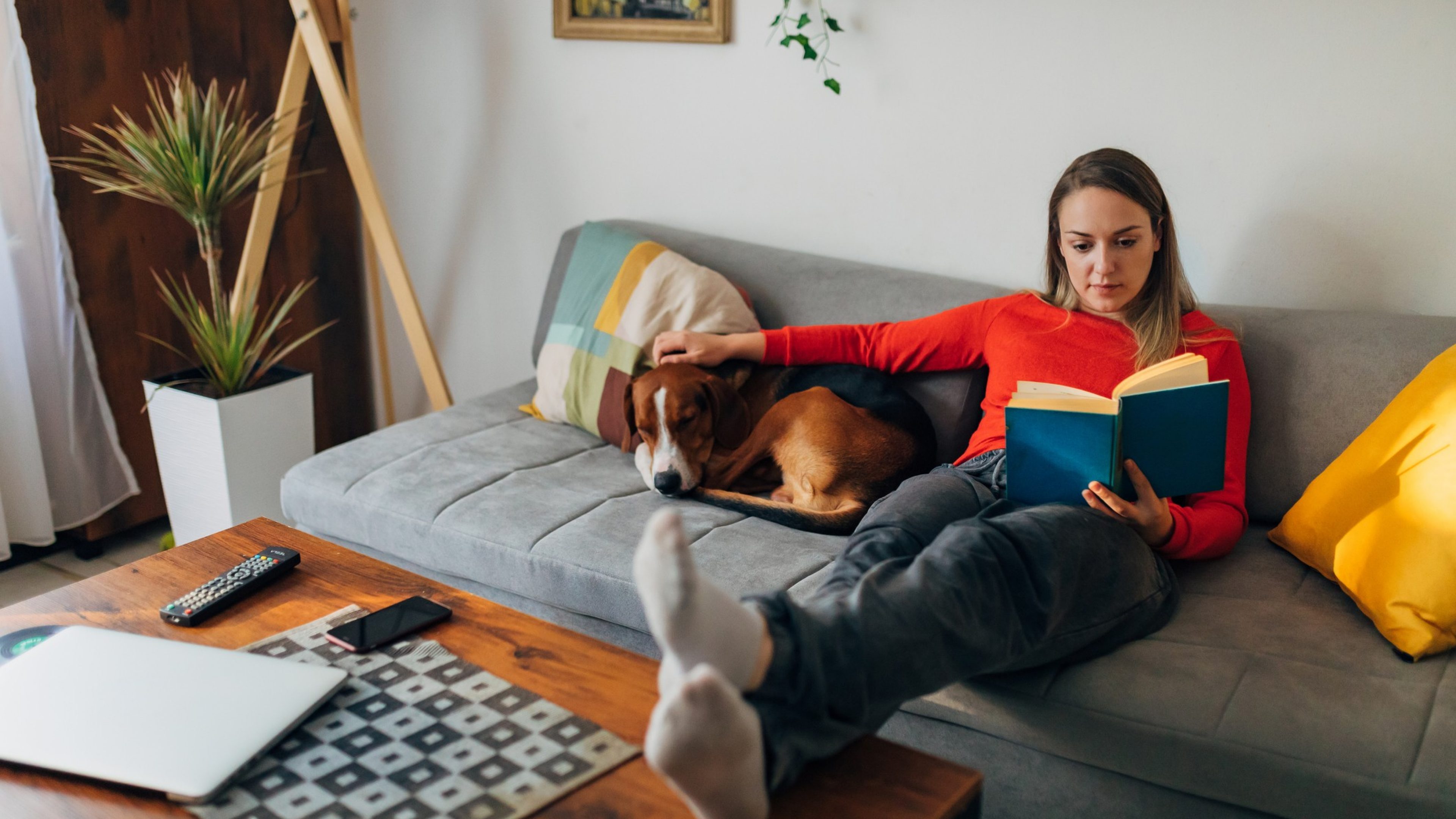 In her modern home, young woman sitting on the cozy sofa, and reading analog book, while stroking her cute male mixed-breed dog, enjoying her weekend int he right way