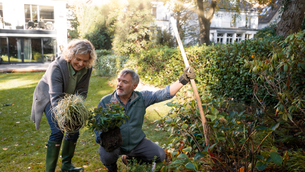 Versichern – Swiss Life Select (Österreich)
