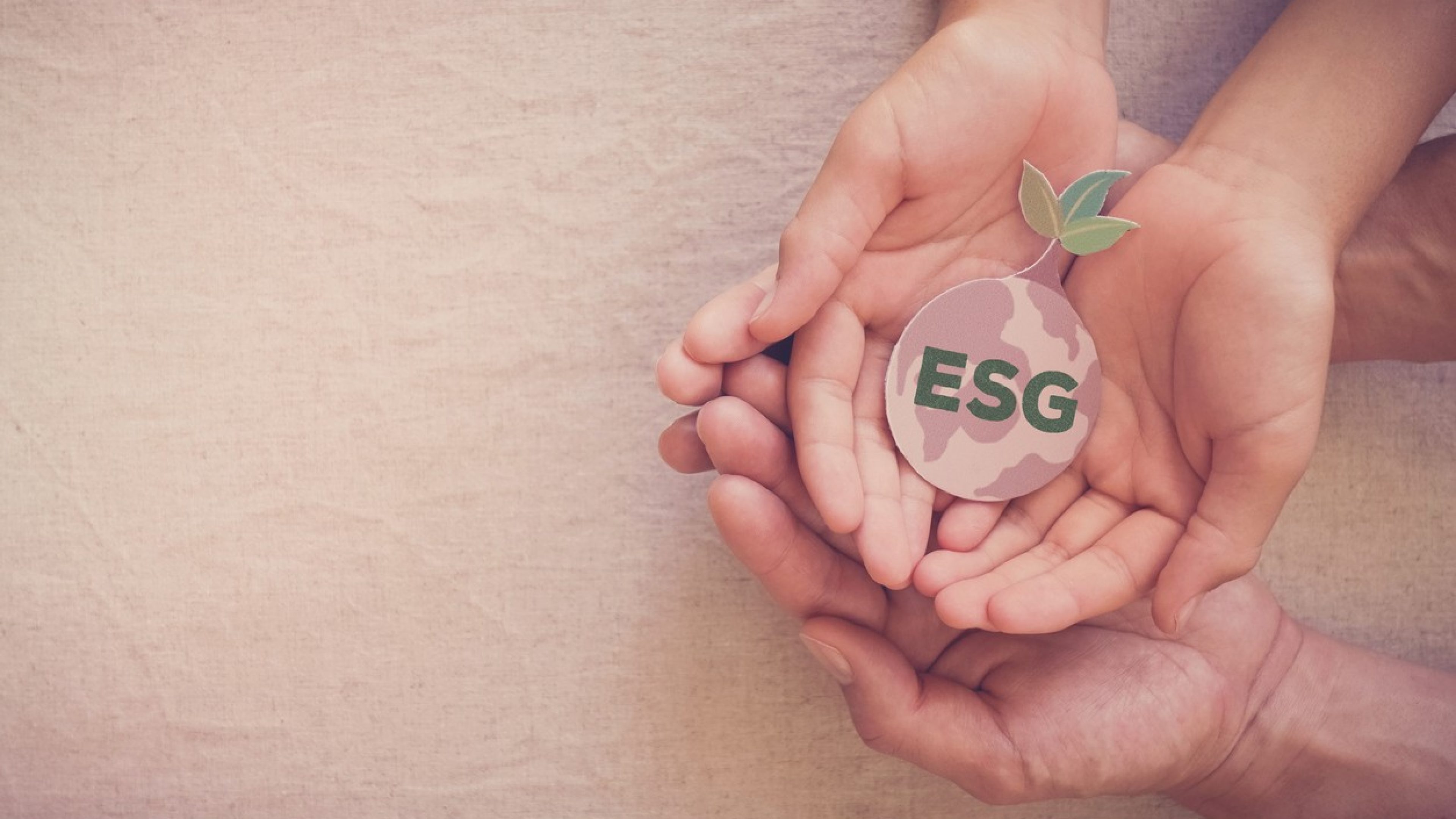 Hands holding growing tree on earth, ESG Environmental, social and corporate governance concept
